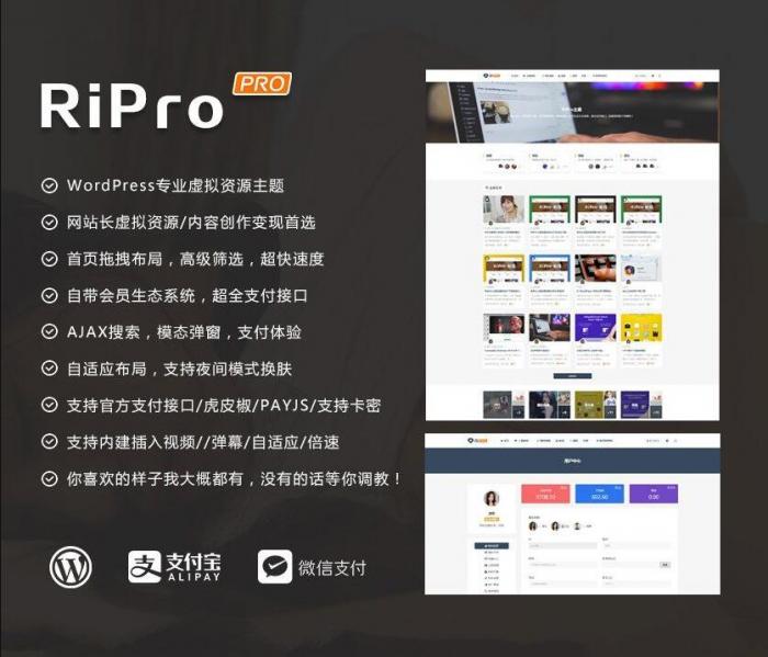 RIPro主题 v7.2 免授权修复后门完美版-未来资源网