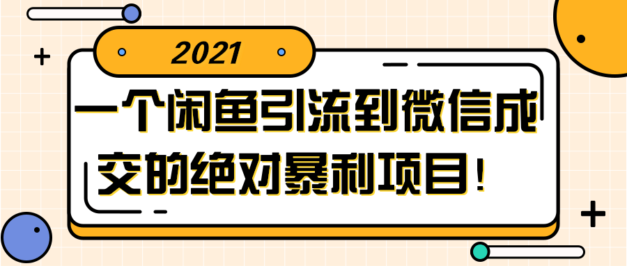 闲鱼引流到微信成交的绝对暴利项目！【视频教程】-未来资源网