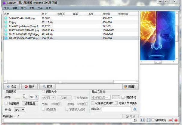 图片大小压缩软件(Caesium)1.7.0 绿色中文版-未来资源网