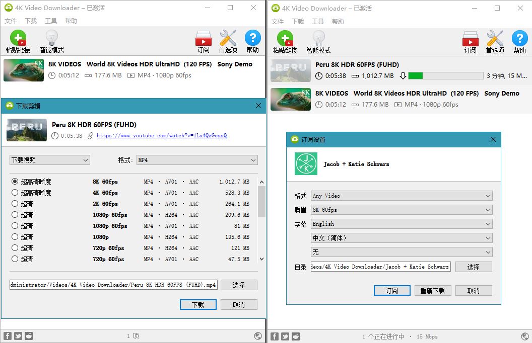 4K Video Downloader v4.20.1 4K视频下载器-未来资源网